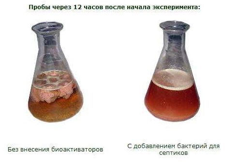 bakterii-dlya-septikov-03